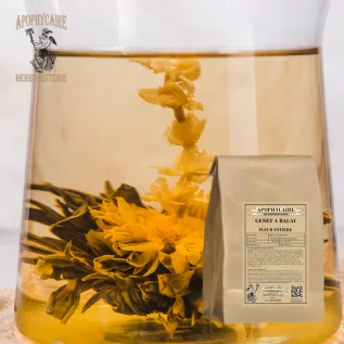 Genêt à balai fleur vrac (Sarothamnus scoparius) - Apophycaire