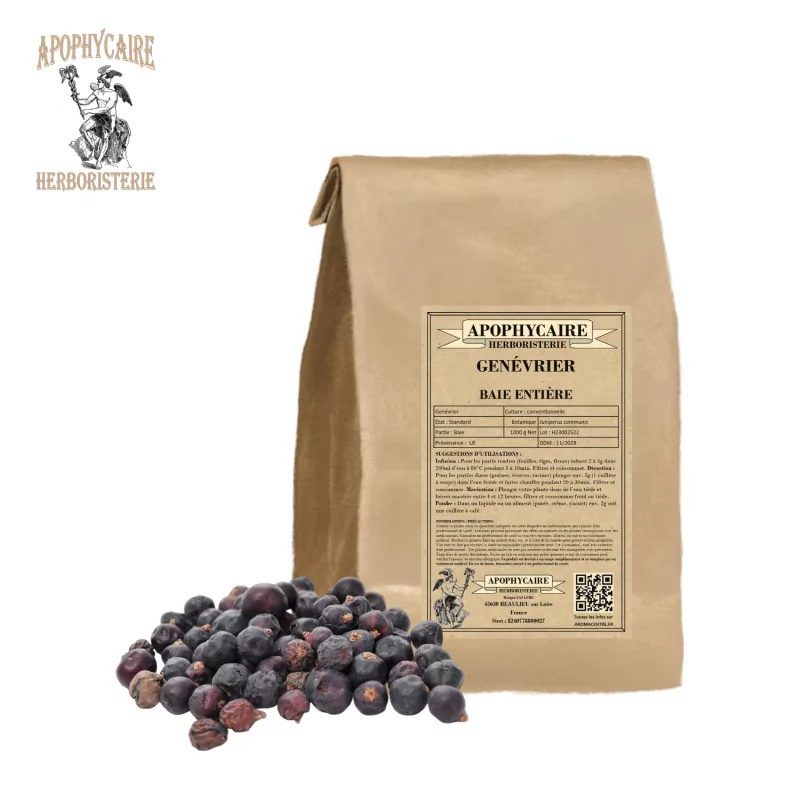 Bayas de enebro a granel (Juniperus communis) - Apophycaire