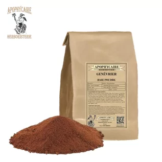 Juniper berry powder – Juniperus communis | Apophycaire