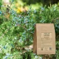 Ardıç meyvesi tozu (Juniperus communis) - Apophycaire