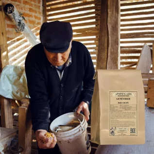 Genévrier bois parfum purificateur traditionnel et usages artisanaux - Apophycaire