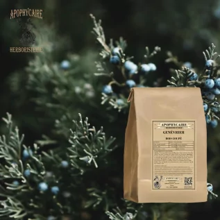 Wacholderschnittholz – Juniperus communis | Apophycarius