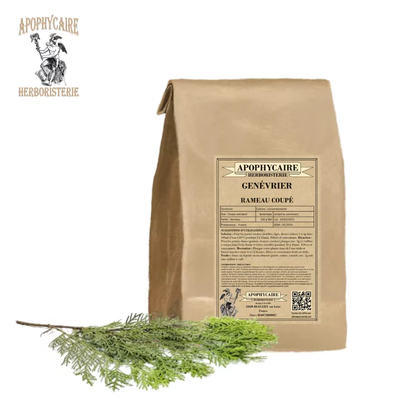 Genévrier rameau coupé (Juniperus communis) - Apophycaire