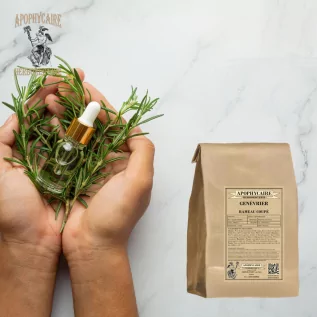 Juniper cut branch – Juniperus communis | Apophycaire