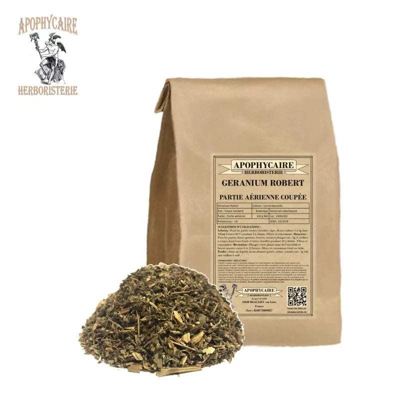 Cut Geranium Robert (Geranium robertianum) - Apothecary Cut Geranium Robert (Geranium robertianum) - Apothecary