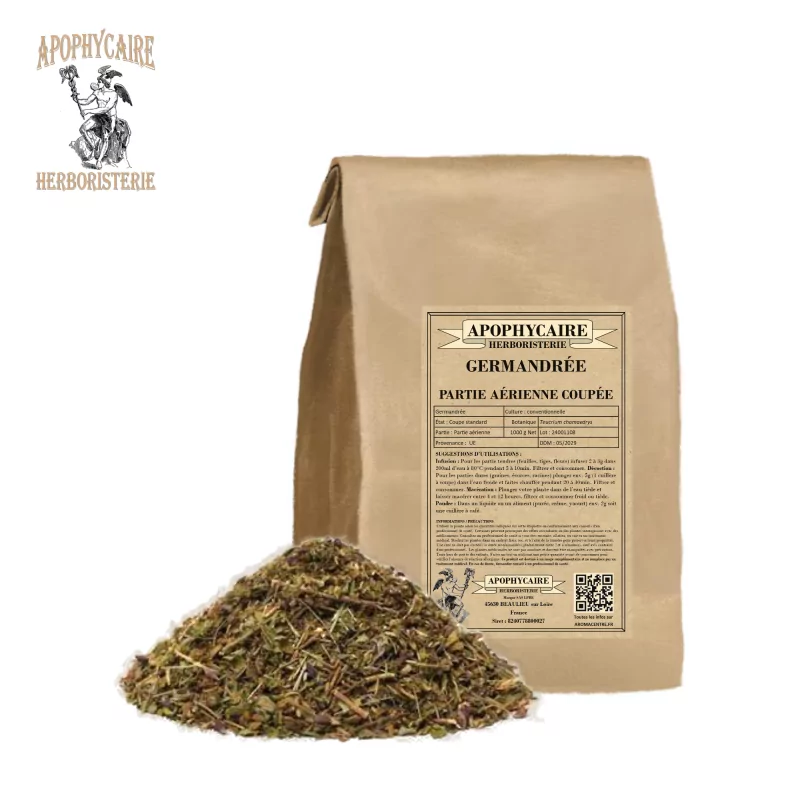 Kesilmiş alman (Teucrium chamaedrys) - Apophycaire