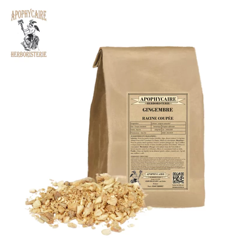 Gingembre racine coupée (Zingiber officinale) - Apophycaire