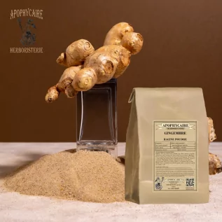 Ginger root powder – Zingiber officinale | Apophycaire