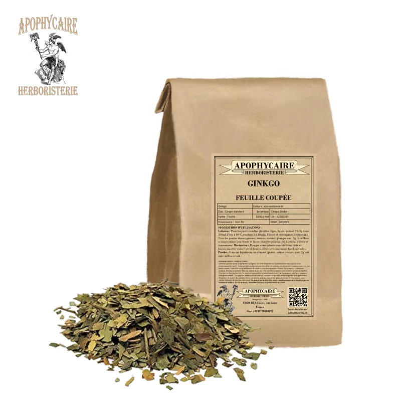 Ginkgo biloba cut leaf - Apothecary