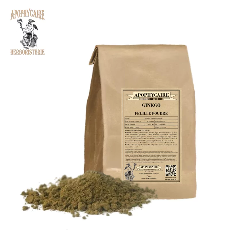 Ginkgoblattpulver (Ginkgo biloba) – Apophycaire