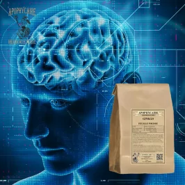 Ginkgo leaf powder (Ginkgo biloba) - Apophycaire