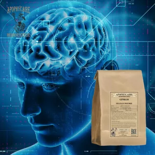 Ginkgo leaf powder (Ginkgo biloba) - Apophycaire