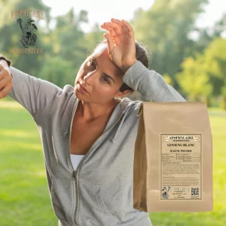 White ginseng root powder (Panax ginseng) - Apophycaire