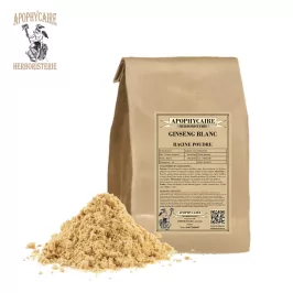 Weißes Ginsengpulver – Panax Ginseng | Apophycaire