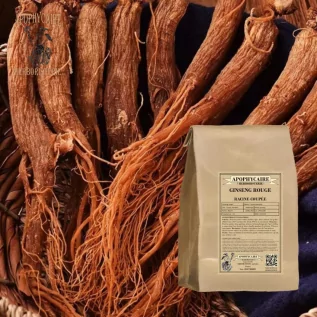 Kırmızı ginseng kesilmiş kökü – Panax ginseng | Apophycarius