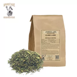 Globulaire feuille coupée (Globularia alypum) - Apophycaire