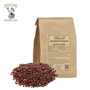 Samen des Paradieses (Maniguette) – Aframomum melegueta | Apophycarius