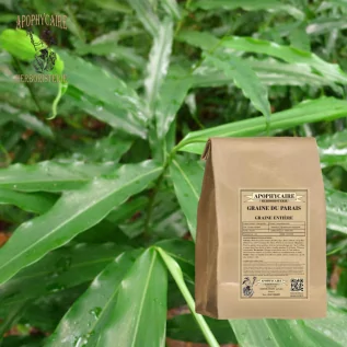 tisane Graine du Paradis - Apophycaire