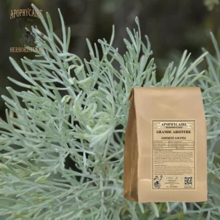 Große Absinth-Schnittspitze – Artemisia absinthium | Apophycarius