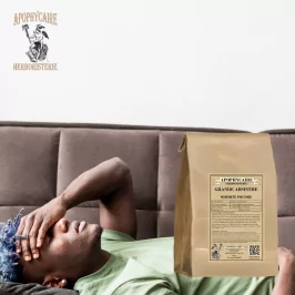 Grande Absinthe sommité poudre (Artemisia absinthium) - Apophycaire