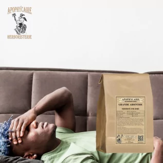 Büyük Pelin tozu üst kısmı (Artemisia absinthium) - Apophycaire