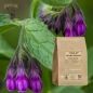 Comfrey root cut (Symphytum officinale) - Apophycaire