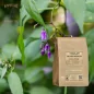 Comfrey root powder (Symphytum officinale) - Apophycaire Comfrey root powder (Symphytum officinale) - Apophycaire