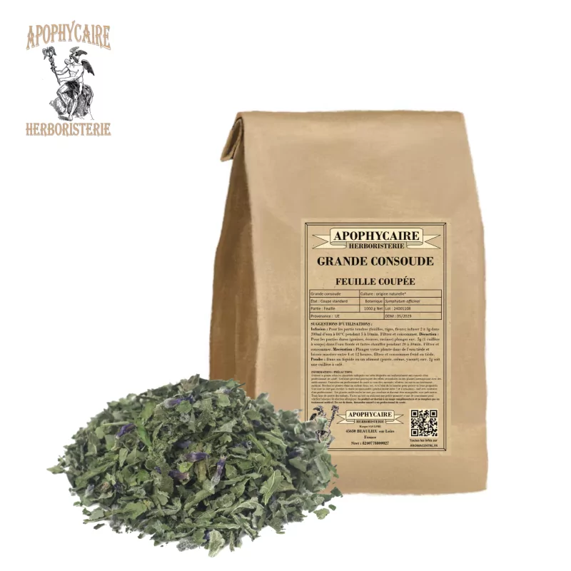 Common Comfrey (Symphytum officinale) - Apophycaire