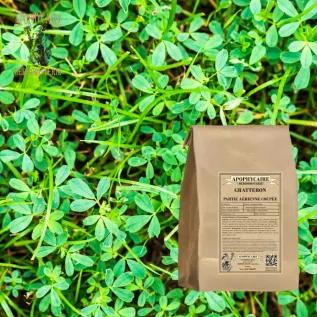 tisane Gratteron (Galium aparine) - Apophycaire