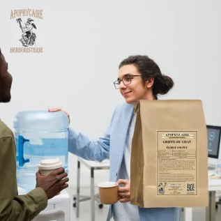 Katzenkrallen-Schnittrinde – Uncaria tomentosa | Apophycarius