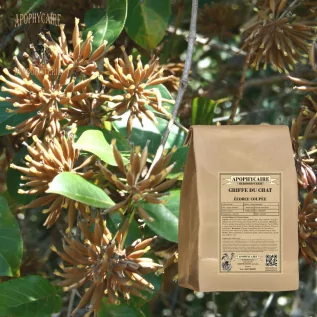 tisane Griffe du chat (Uncaria tomentosa) - Apophycaire