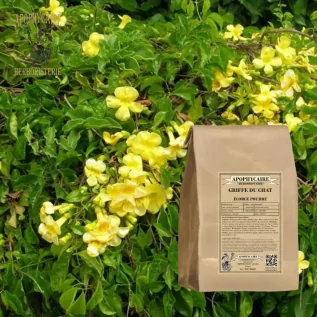 Cat's Claw Bark Powder – Uncaria tomentosa | Apophycaire