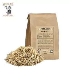 Grindelia aerial part cut – Grindelia robusta | Apothecary