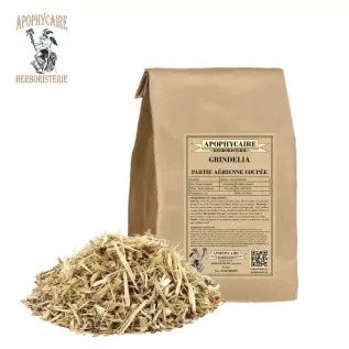 Grindelia aerial part cut – Grindelia robusta | Apothecary