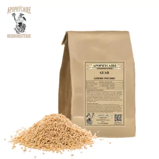 Guar gum powder – Cyamopsis tetragonolobus | Apophycaire