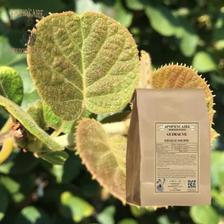 tisane Guimauve feuille - Apophycaire