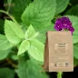 Marshmallow root cut (Althaea officinalis) - Apophycaire