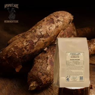 Eibischwurzelpulver – Althaea officinalis | Apophycarius