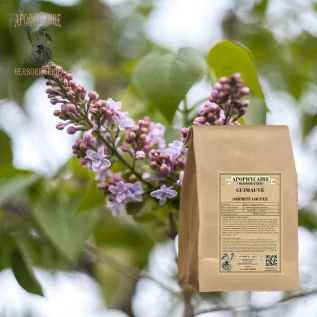 Marshmallow-Schnittoberteil – Althaea officinalis | Apophycarius