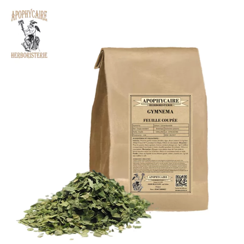 Cut-leaf Gymnema (Gymnema sylvestris) - Apophycaire