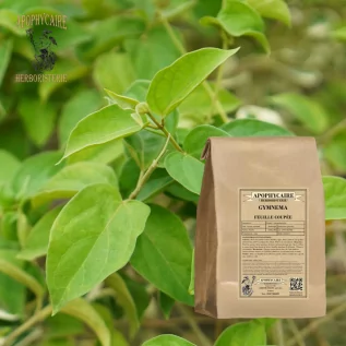 Hoja cortada de Gymnema – Gymnema sylvestris | Apophycarius