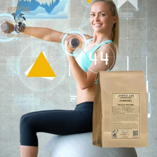 Gymnema traditionnellement utilisée pour soutenir l'équilibre du métabolisme glucidique - Apophycaire