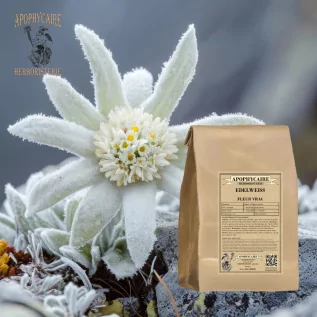 Edelweiß fleur vrac – Stella Leontopodium alpinum | Apophycaire