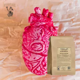 Hamamelisblattpulver (Hamamelis virginiana) - Apotheker