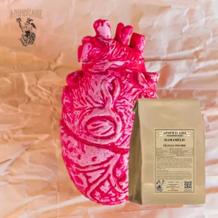 Witch hazel leaf powder (Hamamelis virginiana) - Apothecary