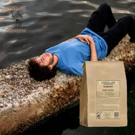 Haricot cosse coupée (Phaseolus vulgaris) - Apophycaire