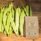 Cut-pod bean (Phaseolus vulgaris) - Apophycaire