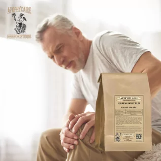 Devil's claw root (Harpagophytum procumbens) - Apophycaire