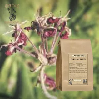 infusion Harpagophytum racine - Apophycaire