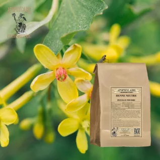 Neutrales Hennapulver (Cassia obovata) - Apophycaire